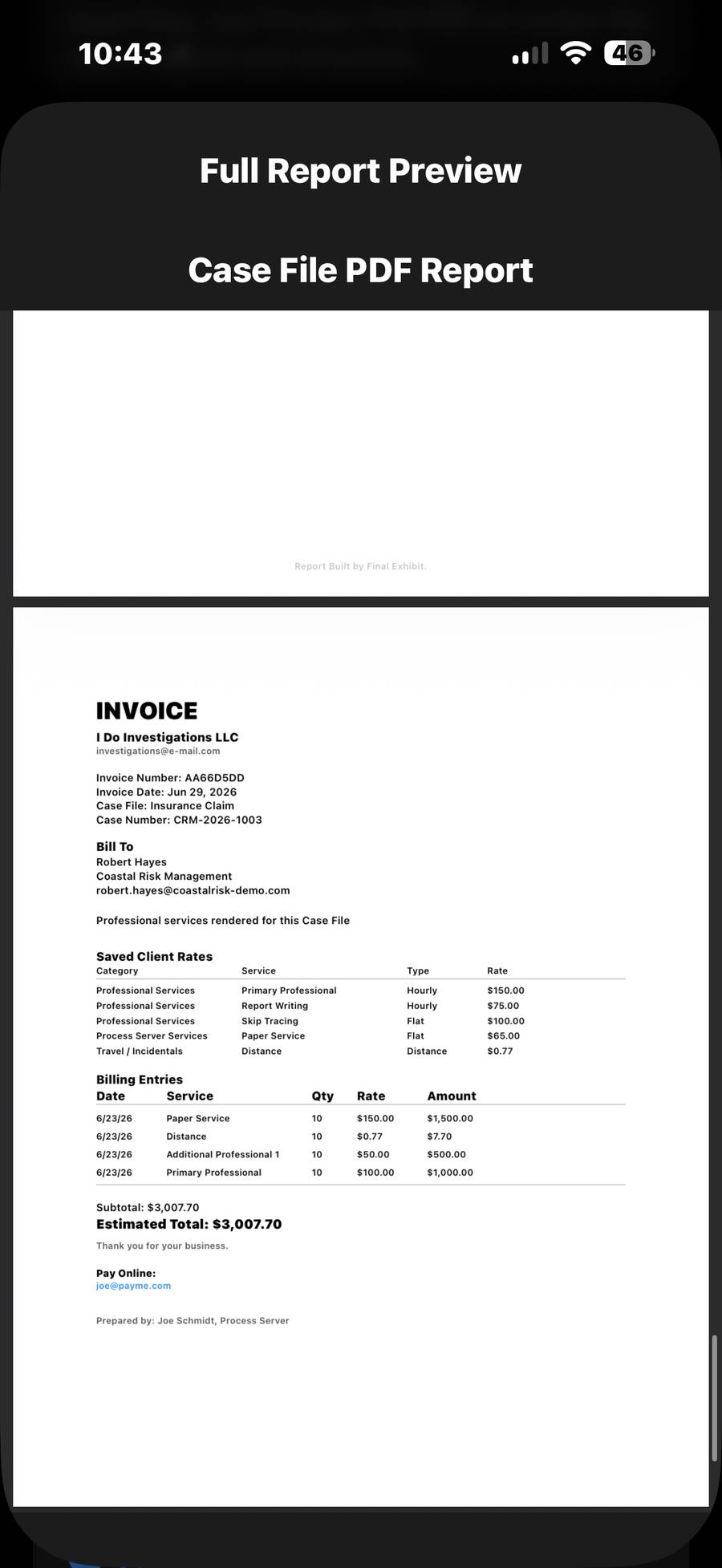 Professional Invoice